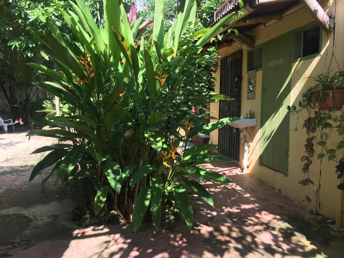 CANJAM Retreat Negril Exterior foto
